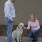 Perfect Pet Dog Training